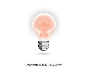 Idea and think concept, Light bulb with Puffy ball red isolated texture on white background, ornamental backdrop. Design element for prints, decor, textile, web,vector,icon.