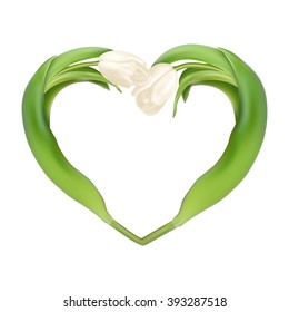 Idea for Valentines day. Heart from two tulips on a white background. EPS 10 vector file included