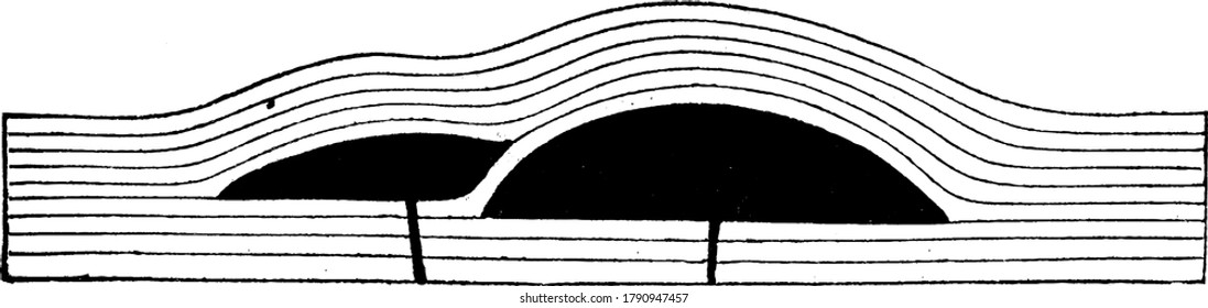 Ideal cross-section of the laccoliths of Mt. Holmes, after restoration, vintage line drawing or engraving illustration.