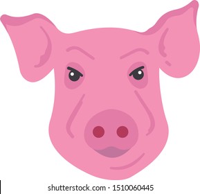 ideal pig for your needs