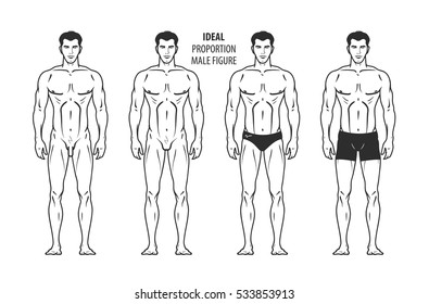 Ideal proportion, male figure. Hand-drawn outline man in full growth, human. Vector illustration