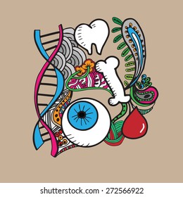 Identification organs and specimens cartoon doodle