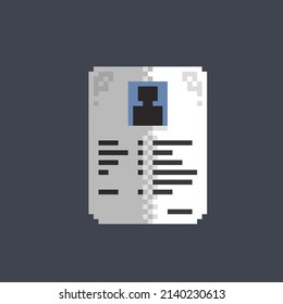 identity document in pixel style