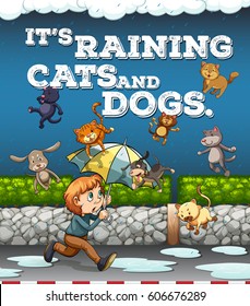 Idiom poster with raining cats and dogs illustration