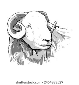 Idul Adha, Farm sheep portrait hand drawn sketch Farm cattle Vector illustration.