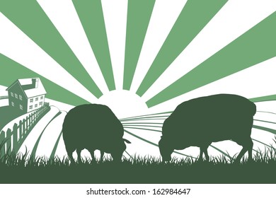 An idyllic farm landscape with farmhouse and sheep feeding on grass and sun rising over rolling hills