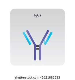 Ilustración esquemática de la estructura del anticuerpo de inmunoglobulina IgA2. Diagrama inmunológico simple.