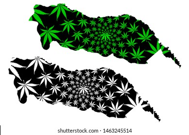 Igdir (Provinces of the Republic of Turkey) map is designed cannabis leaf green and black, Igdir ili map made of marijuana (marihuana,THC) foliage,