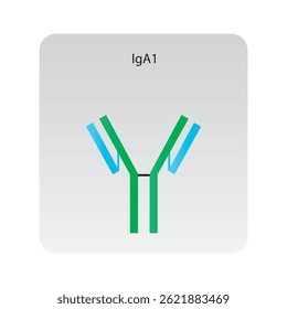 Ilustración esquemática de la estructura de anticuerpos de inmunoglobulina IgE. Diagrama inmunológico simple.