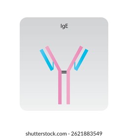 IgG3 IgG3 IgG3 IgG3 IgG3 IgG3 IgG3 IgG3 IgG3 IgG3 IgG3 IgG3 IgG3 IgG3 IgG3 IgG3 IgG Diagrama de imunologia simples.