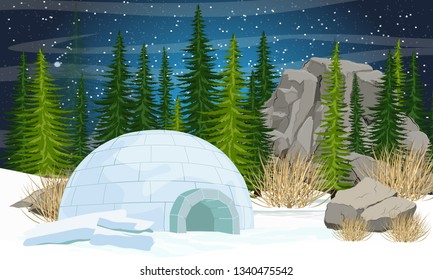 Igloo. Icehouse. Ice dwelling of the Eskimos. Spruce forest, stones and mountains, dry grass. Night sky with stars. Valley covered with snow. Realistic winter vector landscape