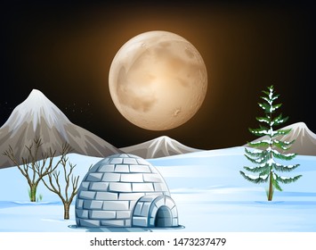 Igloo and snow scene at night illustration