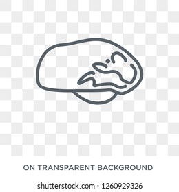 Ignious Syndrome icon. Trendy flat vector Ignious Syndrome icon on transparent background from Diseases   collection. High quality filled Ignious Syndrome symbol use for web and mobile