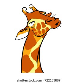 Ignorant giraffe. Giraffe head up. Indifference emotion face of a giraffe color vector sketch in cartoon style. Isolated drawing on white background. 