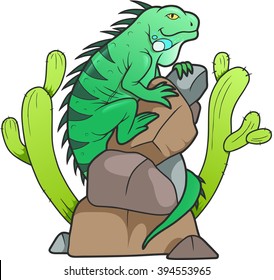 iguana
