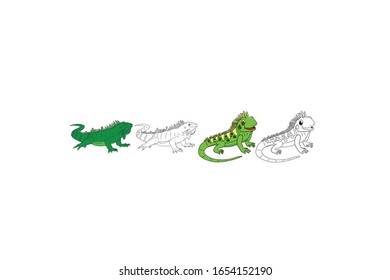 Iguana Animal Cartoon Vector Illustration Bundle