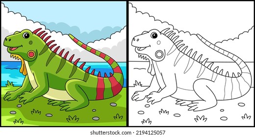 Iguana Animal Coloring Page Colored Illustration
