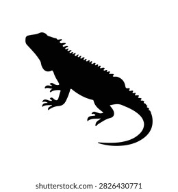 Iguana black silhouette vector illustration