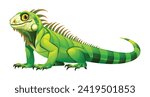Iguana cartoon illustration. Vector lizard reptile isolated on white background