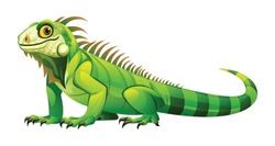 Iguana Cartoon Illustration. Vector Lizard Reptile Isolated On White Background