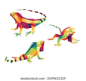 Iguana Colorful Polygon vector Set. Collection Graphic Vector Front View of Iguana Lizard. Set of Colorful Low Poly Abstract Vector of Iguana