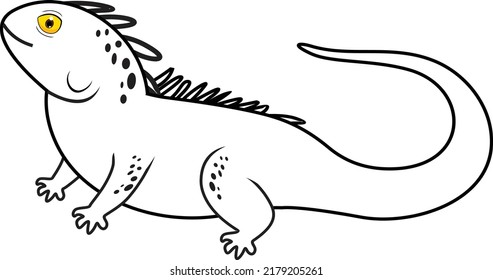 Iguana Coloring Page Vector Art And Illustration