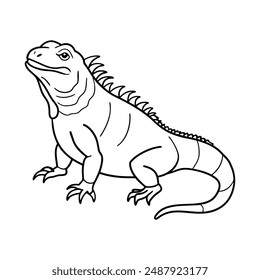 Iguana Coloring Pages, Kids Coloring Book, Iguana Character line art Vector Illustration