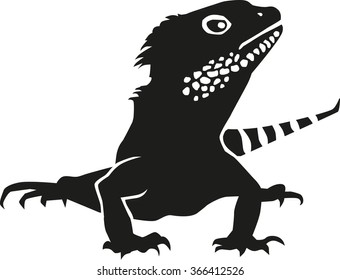 Iguana detailed vector