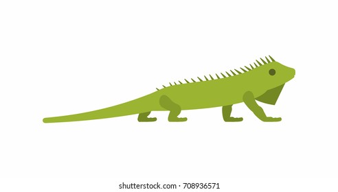 Iguana in flat style on white background