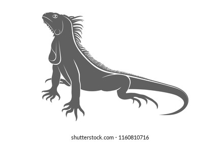 Iguana PNG Transparent Images | PNG All