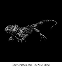 iguana hand drawing vector isolated on black background.