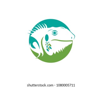 Iguana head logo template