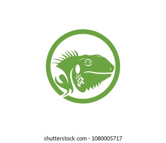 Iguana head logo template