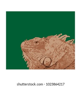 Iguana head on dark green background