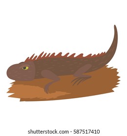 Iguana icon. Cartoon illustration of iguana vector icon for web