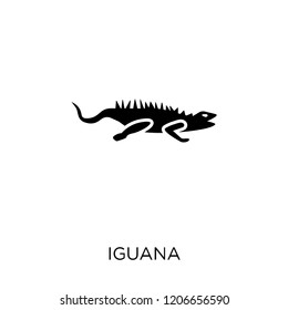 iguana icon. iguana symbol design from Animals collection. Simple element vector illustration on white background.
