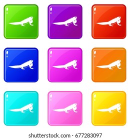 Iguana icons of 9 color set isolated vector illustration