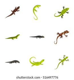 Iguana icons set. Flat illustration of 9 iguana vector icons for web