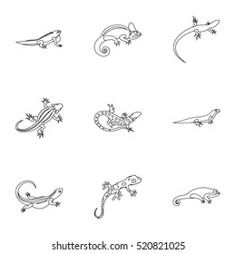 Iguana icons set. Outline illustration of 9 iguana vector icons for web