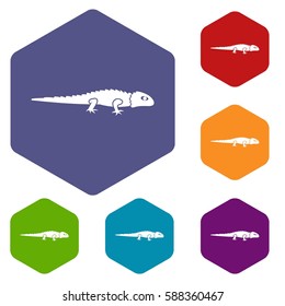 Iguana icons set rhombus in different colors isolated on white background