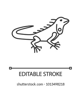 Iguana linear icon. Thin line illustration. Herbivorous lizard. Contour symbol. Vector isolated outline drawing. Editable stroke