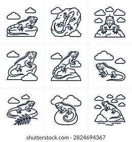 Iguana and lizard basking line art icon collection.