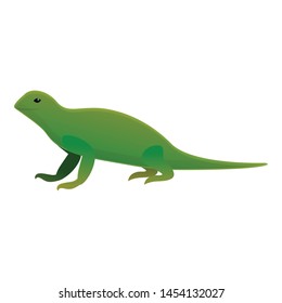 Iguana lizard icon. Cartoon of iguana lizard vector icon for web design isolated on white background