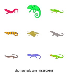 Iguana and lizard icons set. Cartoon illustration of 9 iguana and lizard vector icons for web
