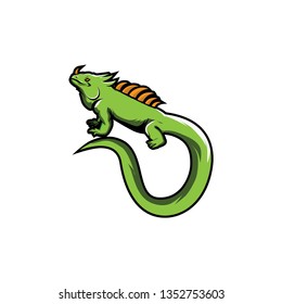 Iguana lizard illustration vector