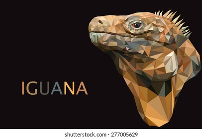 Iguana lizard poly art triangle unusual vector