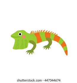 Iguana lizard reptile animal cartoon character isolated on white background.