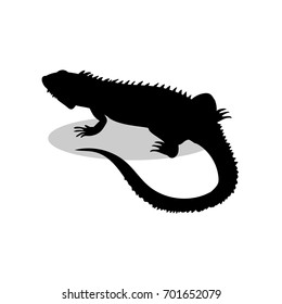 Iguana lizard reptile black silhouette animal. Vector Illustrator.
