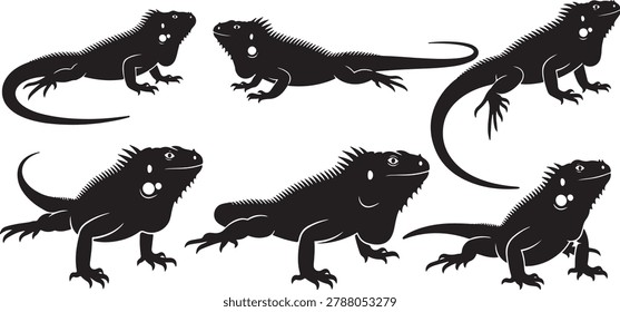 Iguana lizard silhouettes. various poses. transparent background. reptile.