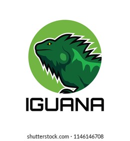 iguana logo for your business, vector illustration
